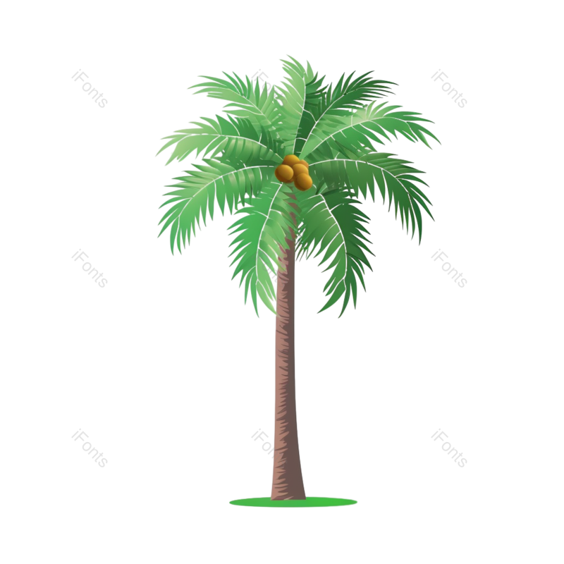 白色背景图片,橄榄元素,海滩PNG,植物免抠素材
